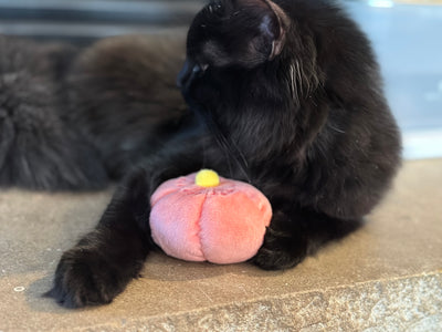 Blossom Bliss: Sakura & Mochi Toys in Bento Packaging (3-pc)