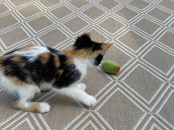 family cats　0331 Cat Family Reunion - 1000 Piece Jigsaw Puzzle by Anatolian