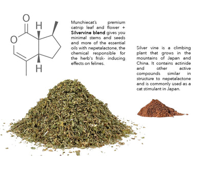 Feline Fantasy Blend: USDA Certified Catnip w Silvervine, approx 1 cup