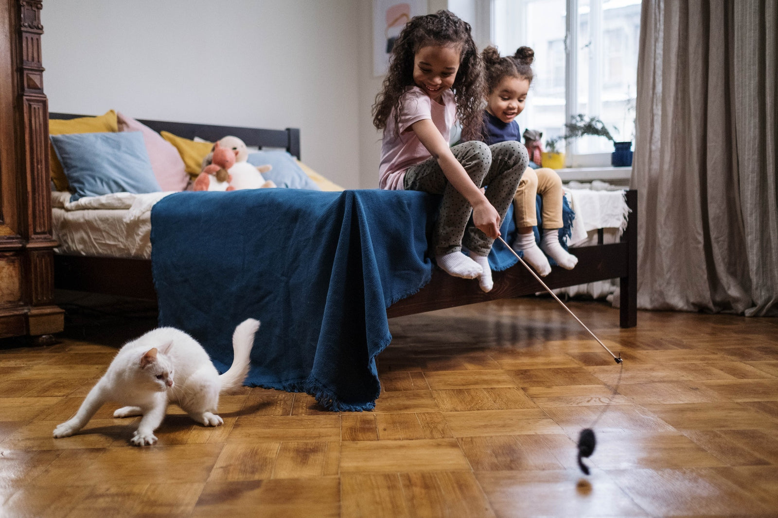 two cute little girls play with their white shorthair cat