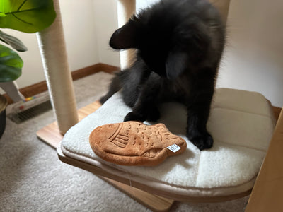 Taiyaki Fish Cat Toy – Refillable, Washable, & Infused with USDA Organic Catnip