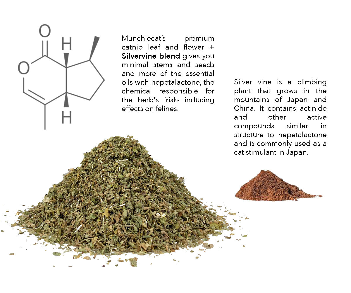 Feline Fantasy Blend: USDA Certified Catnip w Silvervine, approx 1 cup