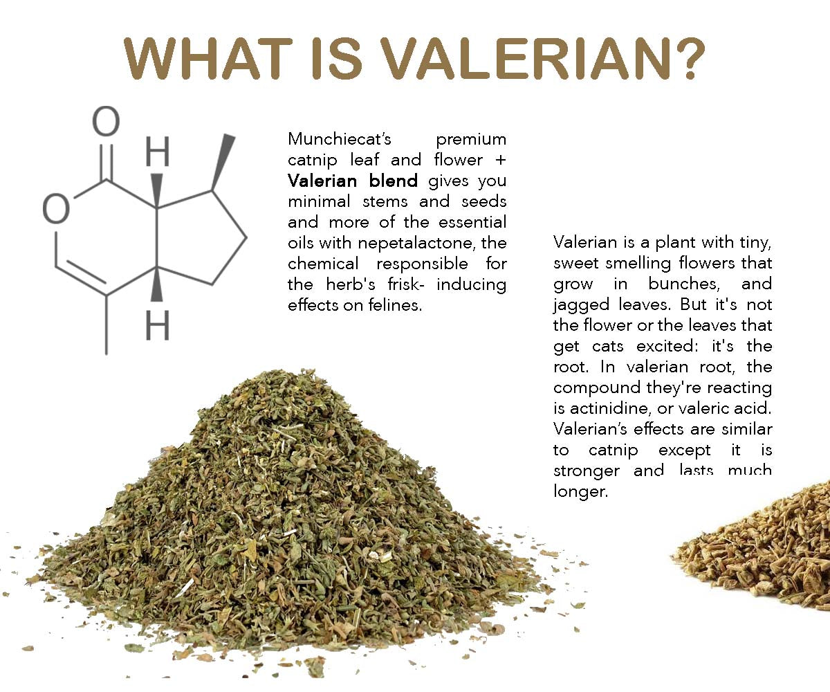 Serene Play Blend: Soothing USDA Certified Organic Catnip & Valerian Blend, 1 oz (approx 1 cup)