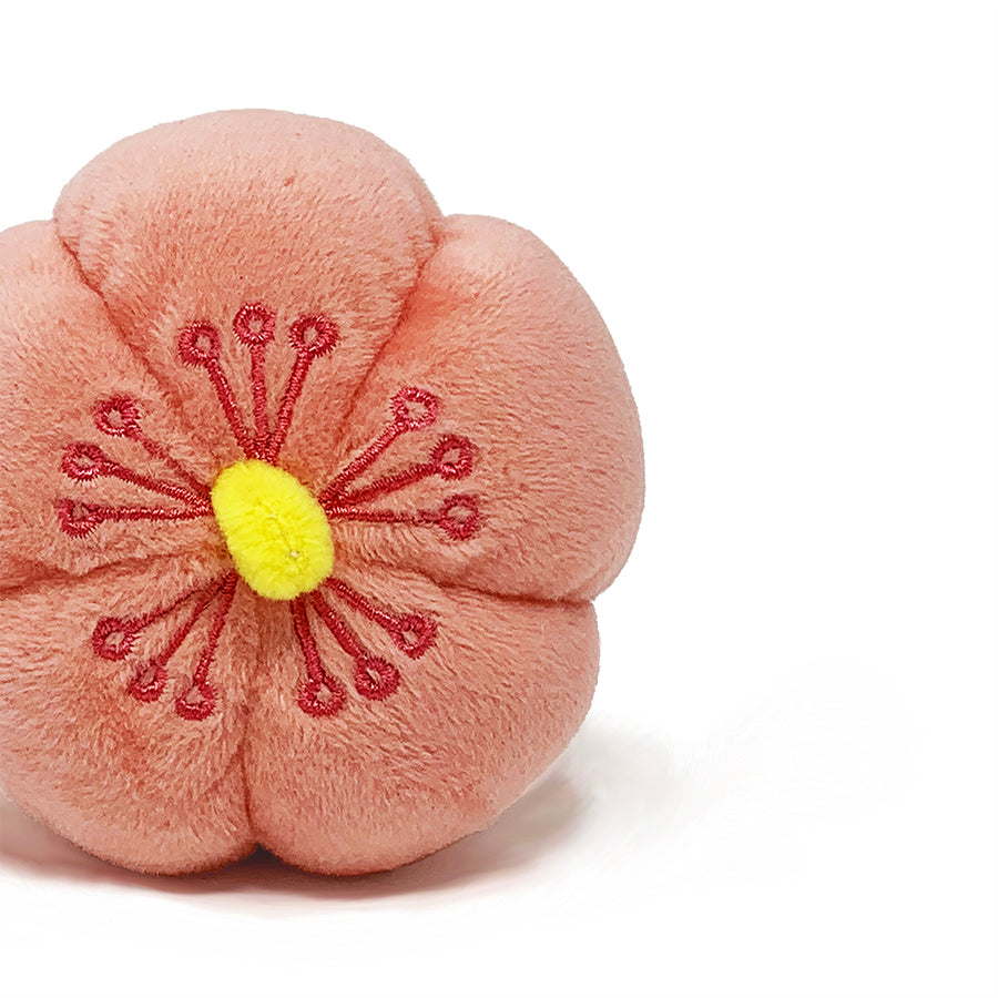 Wagashi Japanese Snacks, 6pc Set with Organic Catnip