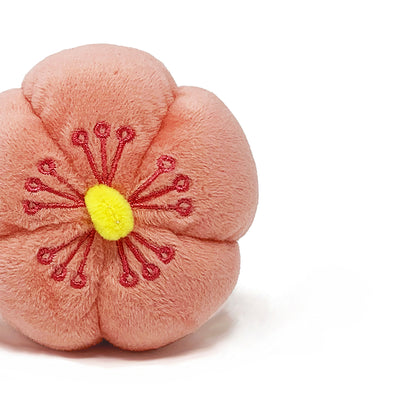 Wagashi Japanese Snacks, 6pc Set with Organic Catnip
