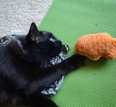 Taiyaki, 2pc Wagashi Toys with Organic Catnip