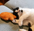 Taiyaki Fish Cat Toy – Refillable, Washable, & Infused with USDA Organic Catnip