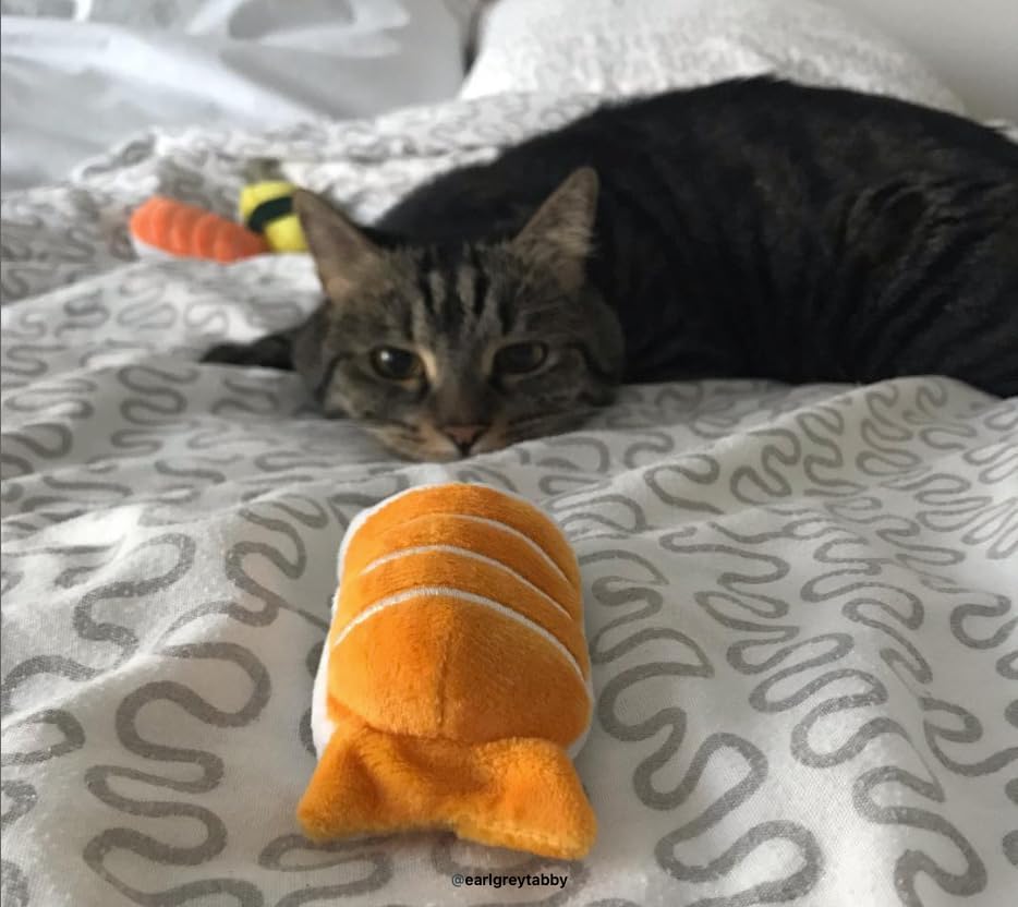 Munchiecat Single Nigiri Sushi Cat Toy - Plush, Organic Catnip-Infused, Safe & Fun Play Toy For Kitties (Orange Salmon)
